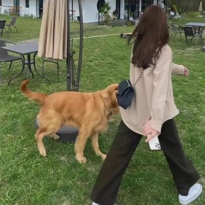 与卿行